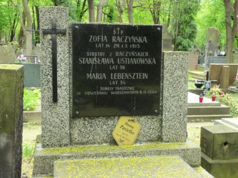 Zdjęcie grobu Stanisława Ustianowska (2)