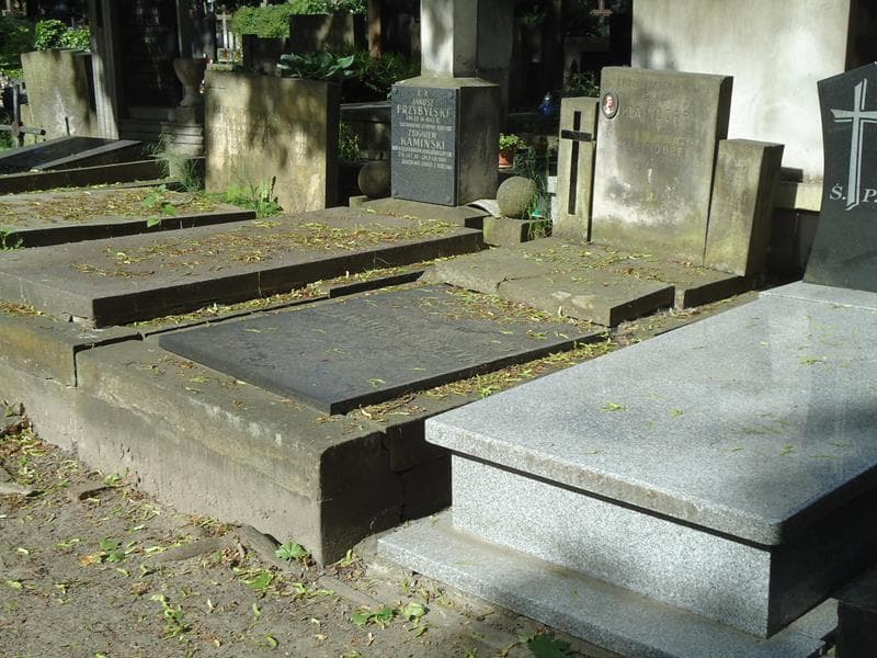 Zdjęcie grobu Pelagia Kleindorf (1)