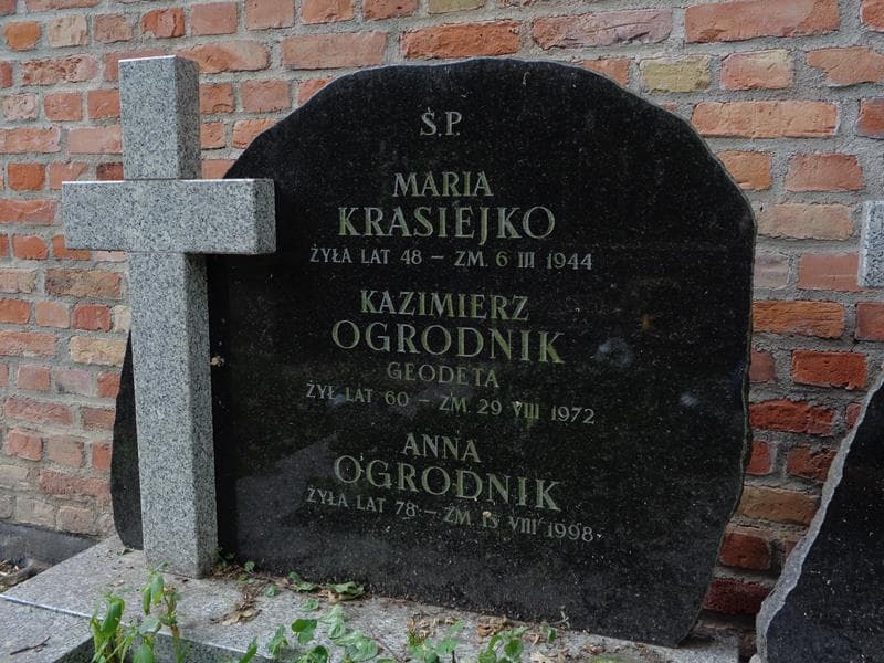 Zdjęcie grobu Anna Ogrodnik (2)