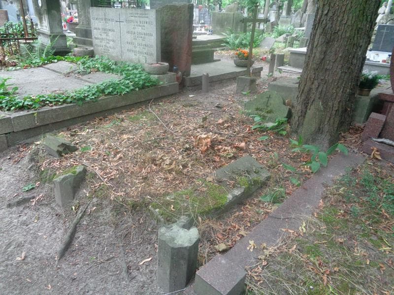 Zdjęcie grobu: Matylda Polemberska