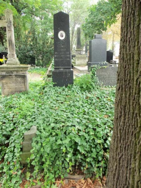 Zdjęcie grobu: Kazimierz Bułhak