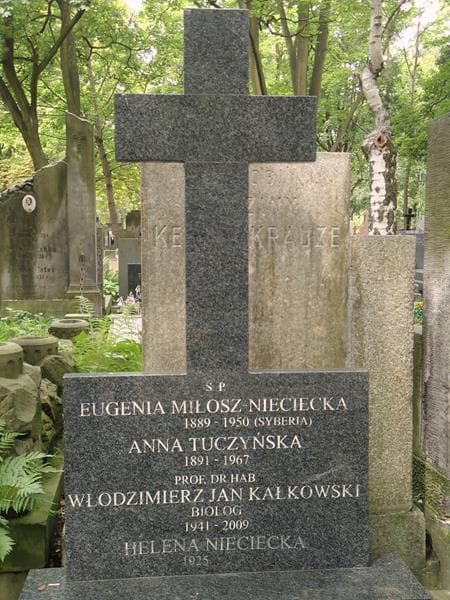 Zdjęcie grobu Anna Tuczyńska (2)