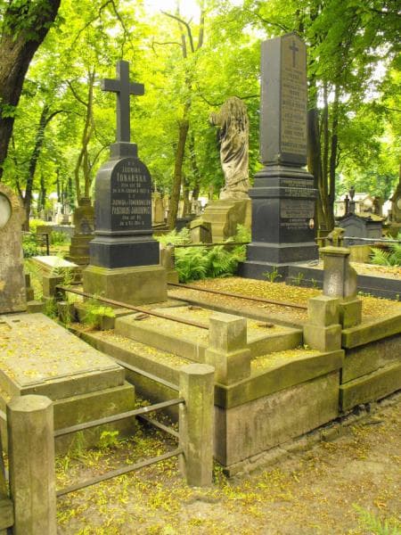 Zdjęcie grobu Ludwika Tokarska (1)