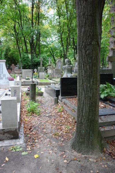 Zdjęcie grobu: Anonim