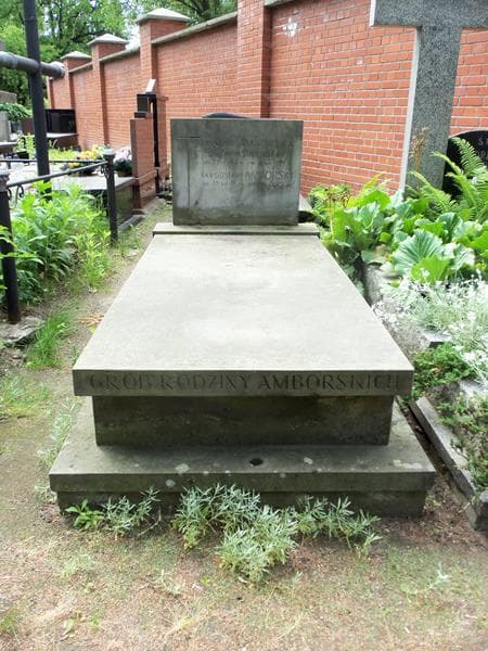 Zdjęcie grobu: Krystyna Amborska