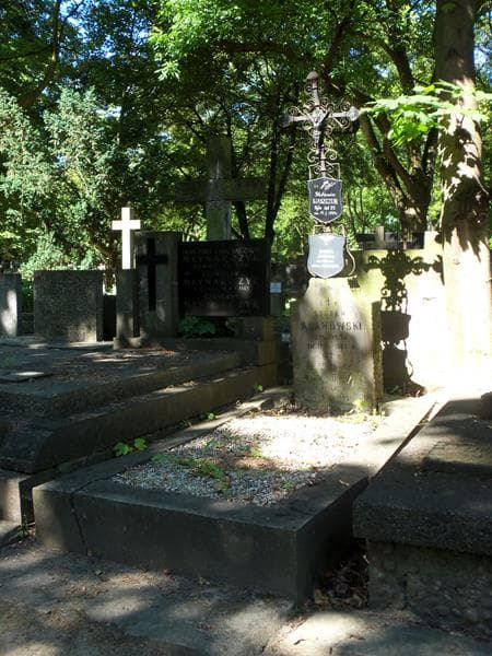 Zdjęcie grobu Stefania Waszczuk (1)