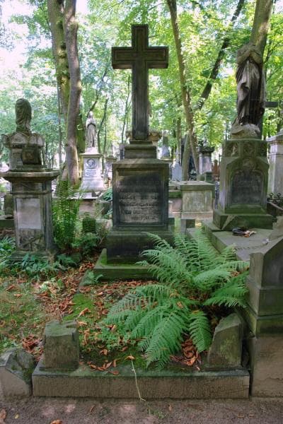 Zdjęcie grobu Roman Paszkowski (1)