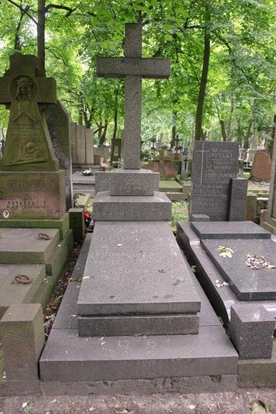 Zdjęcie grobu Zygmunt Borowy (1)