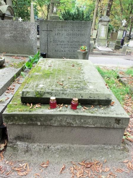 Zdjęcie grobu: Czesław Telatycki