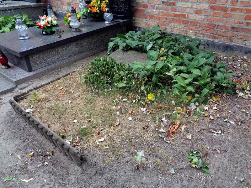 Zdjęcie grobu: Irena Kłopotowska