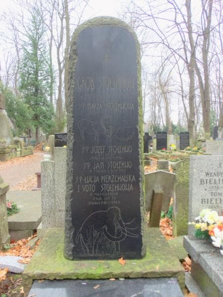 Zdjęcie grobu Józef Stołyhwo (2)