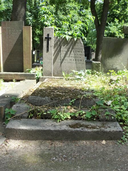Zdjęcie grobu: Leon Żyłowski