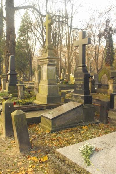 Zdjęcie grobu Ignacy Szczęsnowicz (1)