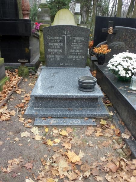 Zdjęcie grobu: Ludwik Perkowski