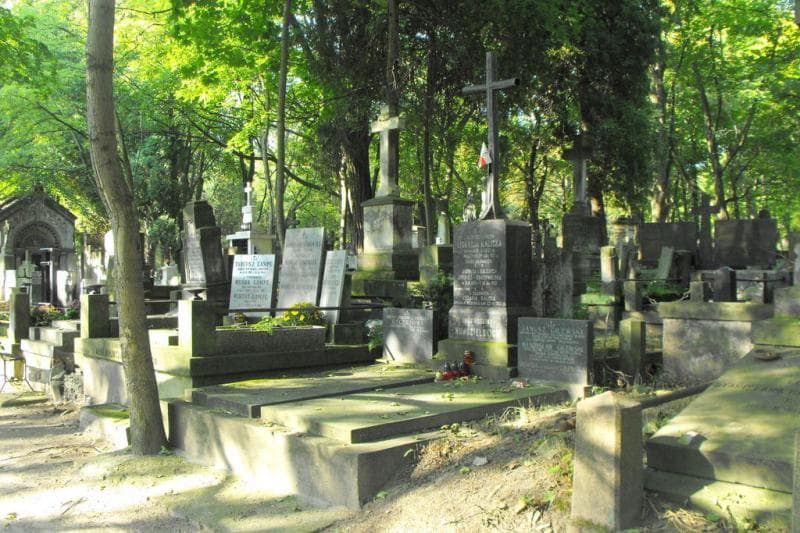 Zdjęcie grobu Nowosielscy (1)