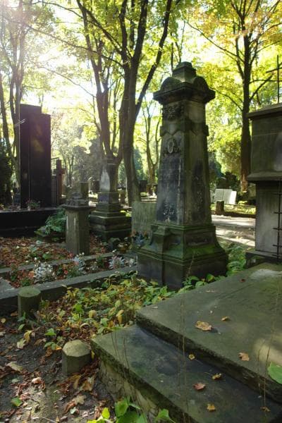 Zdjęcie grobu Walery Gomulicki (1)