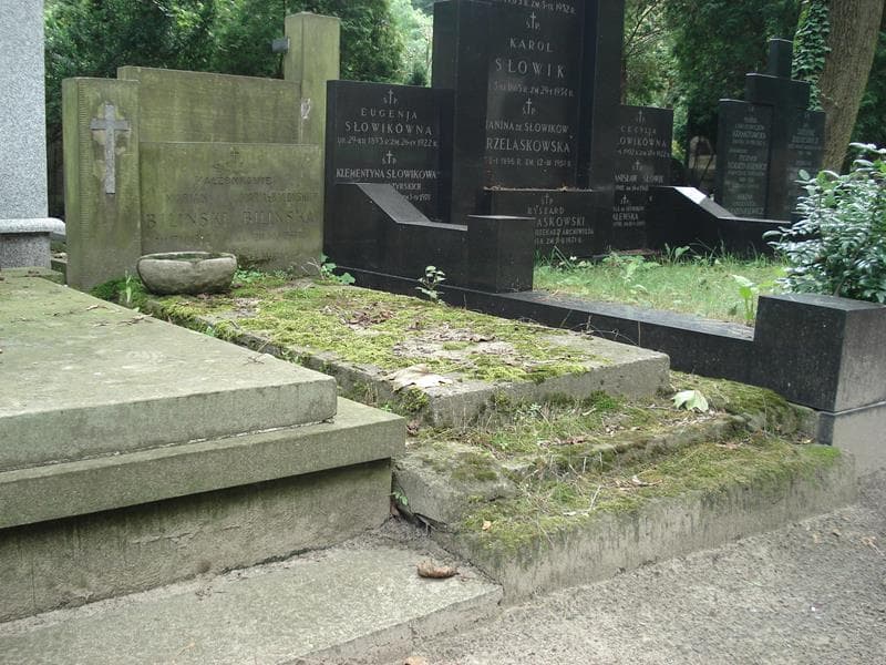 Zdjęcie grobu Marian Biliński (1)