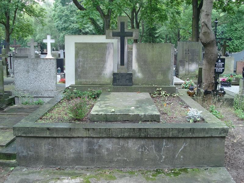 Zdjęcie grobu: Anna Cegieła