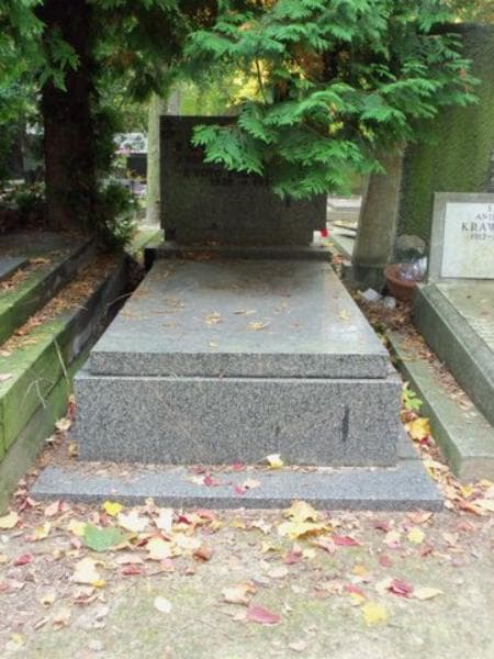 Zdjęcie grobu: Irena Francka