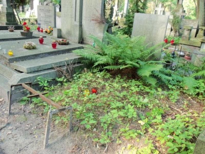Zdjęcie grobu Waleria Budzyńska (1)