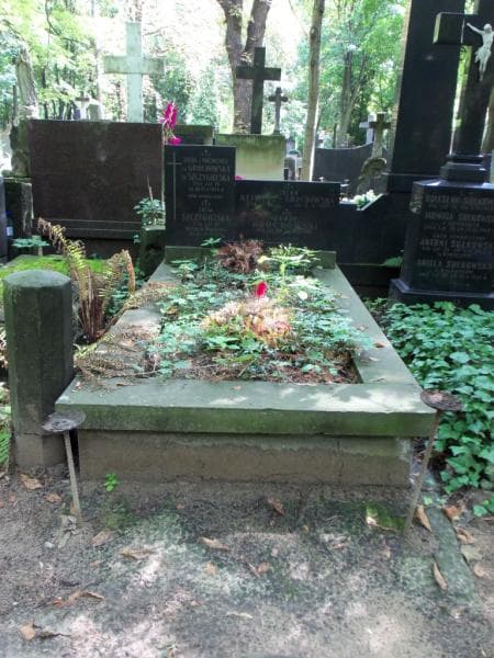 Zdjęcie grobu: Zofia Szczygielska