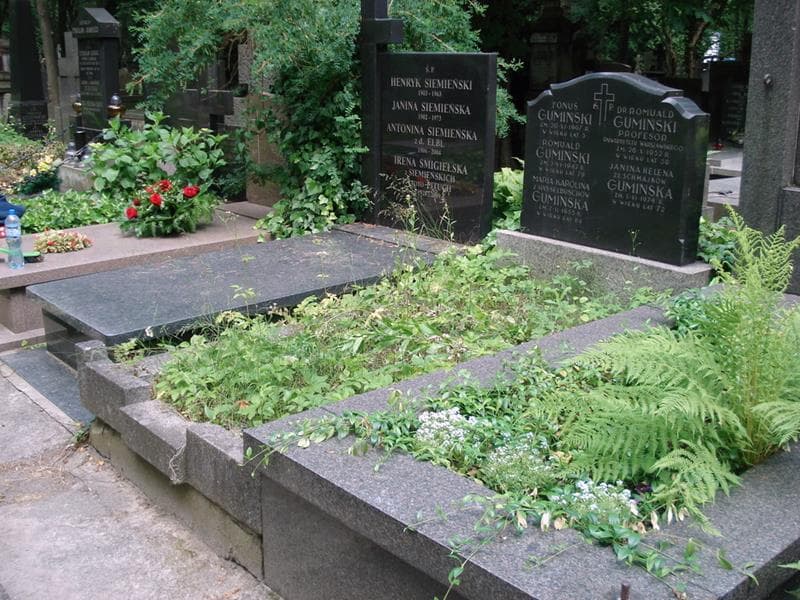 Zdjęcie grobu: Fonuś Gumiński