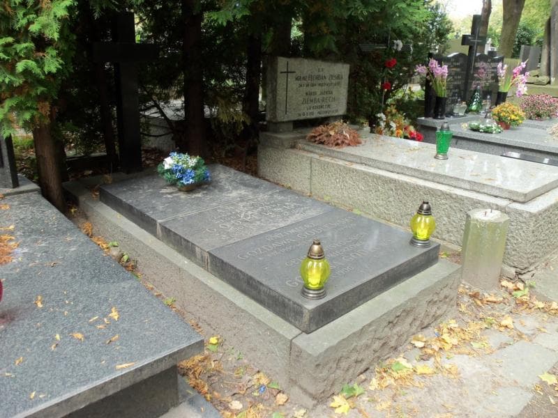 Zdjęcie grobu Kazimierz Gozdawa Godlewski (1)