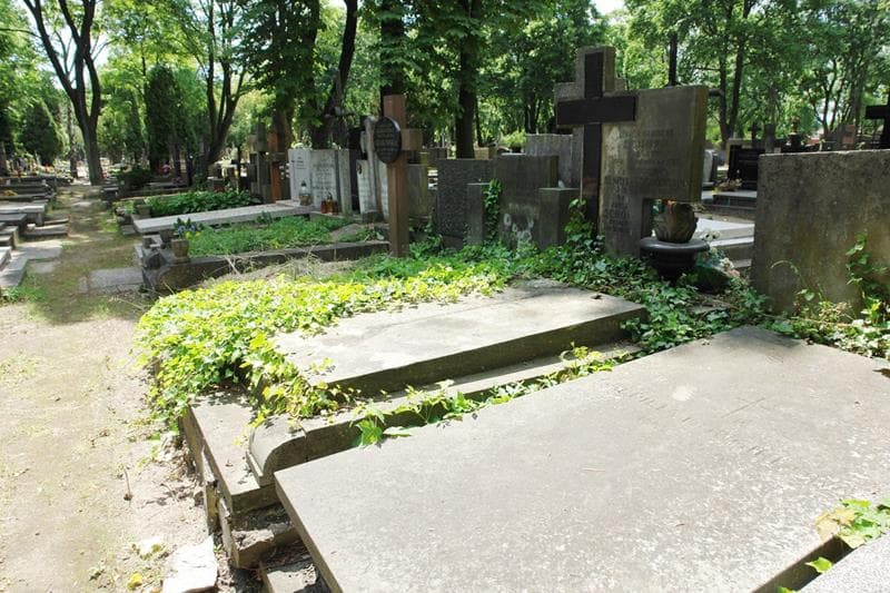 Zdjęcie grobu: Henryka Schoppowa