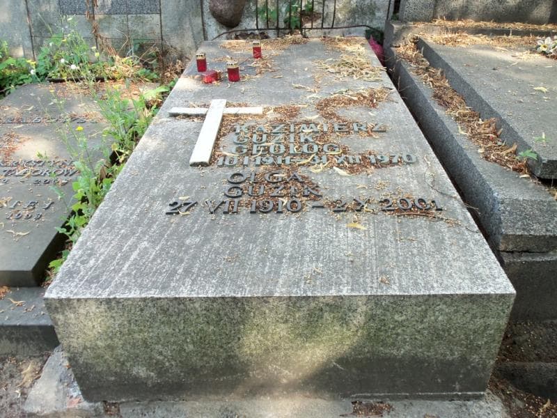 Zdjęcie grobu Kazimierz Guzik (2)