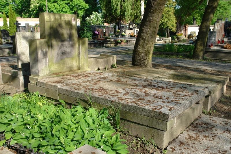 Zdjęcie grobu Ryszard Stefan Górnicki (1)