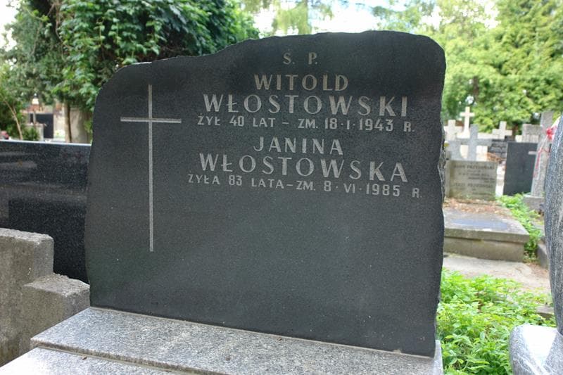 Zdjęcie grobu Witold Włostowski (2)