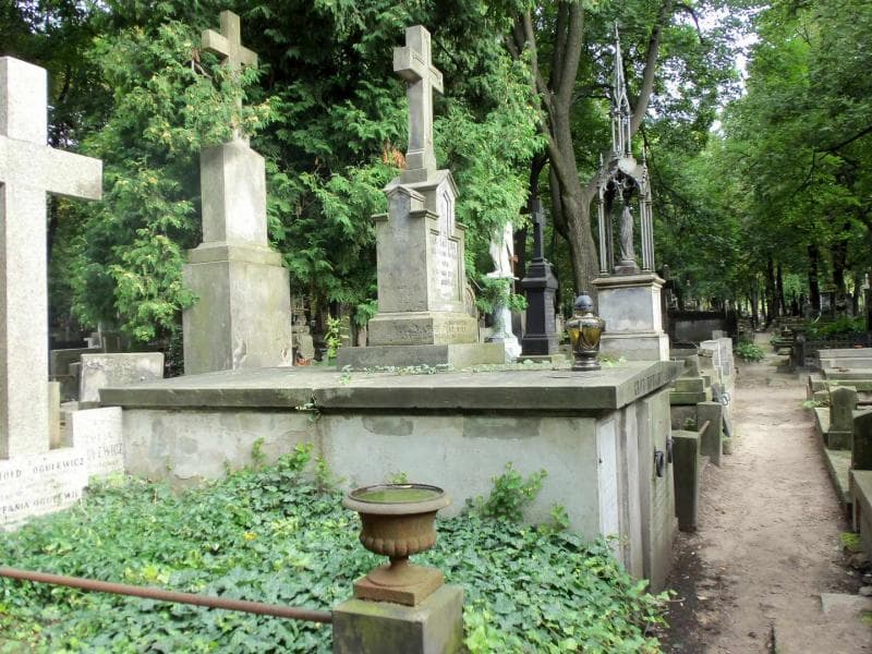 Zdjęcie grobu Zygmunt Chmielewski (1)