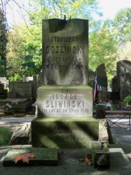 Zdjęcie grobu Stanisław Goźliński (2)