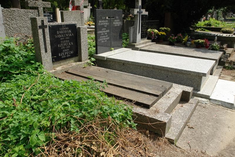 Zdjęcie grobu: Ludwika Bartosik Sobolewska