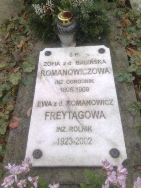 Zdjęcie grobu Ewa Freytagowa (2)