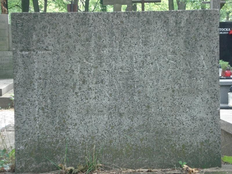 Zdjęcie grobu Helena Uściłowska (2)