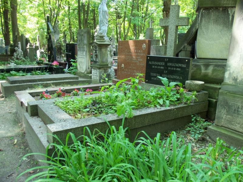 Zdjęcie grobu Aleksander Kwiatkowski (1)
