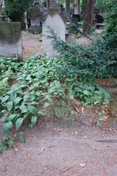 Zdjęcie grobu: Pole Grobowe