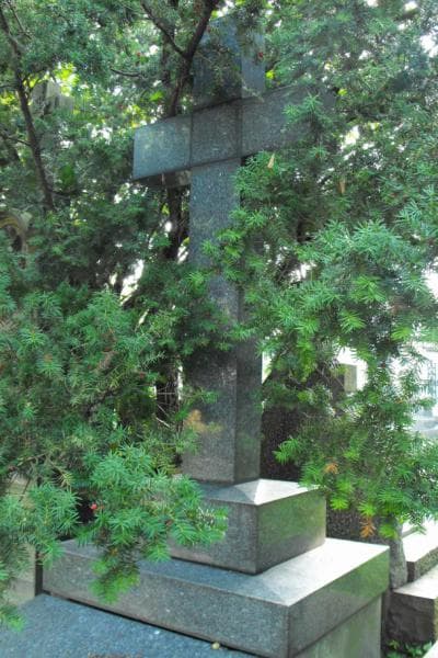 Zdjęcie grobu Antonina Odyńcowa (2)