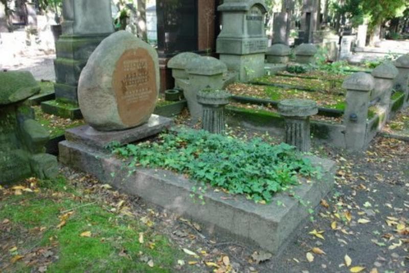 Zdjęcie grobu Kazimierz Leon Toeplitz (1)