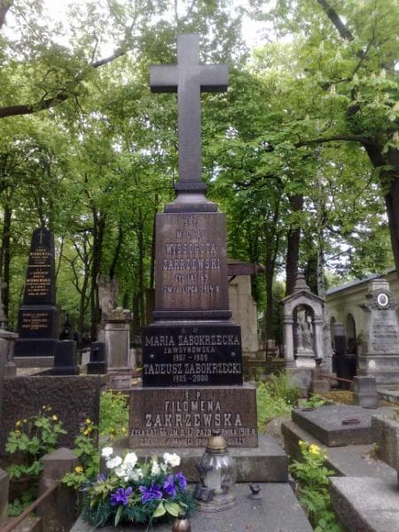 Zdjęcie grobu Michał Wyssogota - Zakrzewski (1)