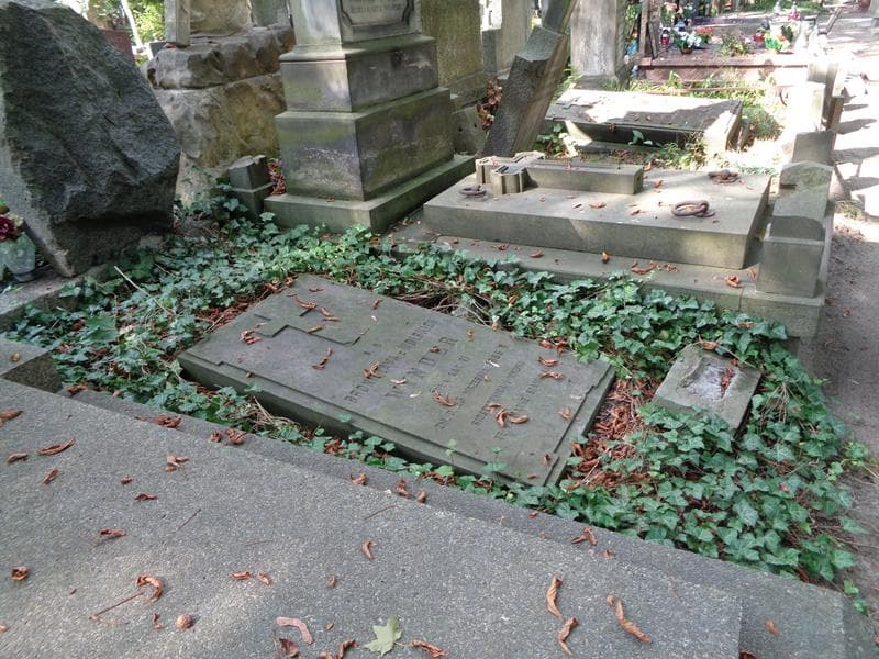 Zdjęcie grobu: Bronisława Wynder