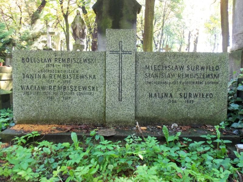 Zdjęcie grobu Szerszonowiczowie Wilamowscy (2)