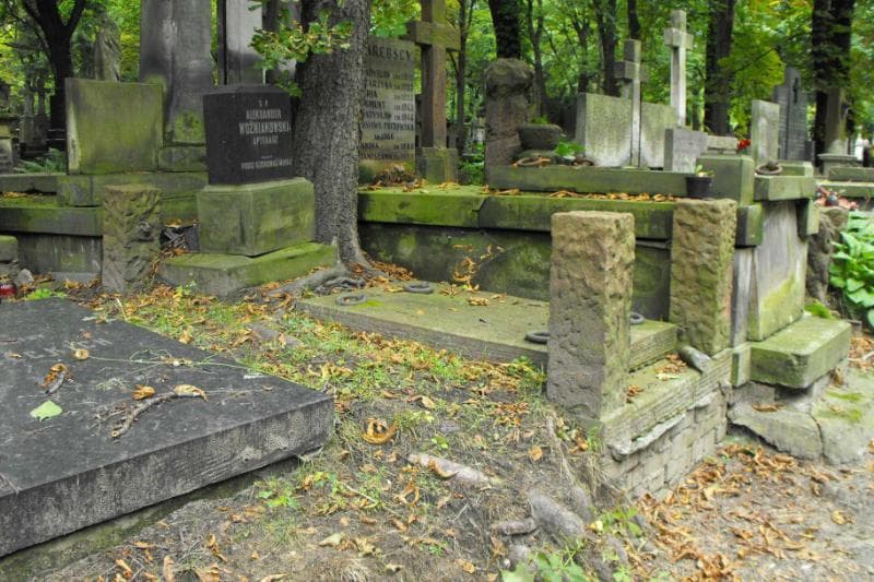 Zdjęcie grobu Aleksander Woźniakowski (1)
