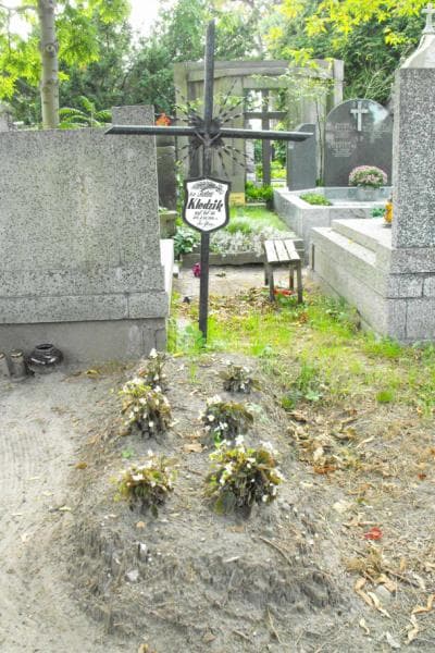 Zdjęcie grobu: Antoni Kledzik