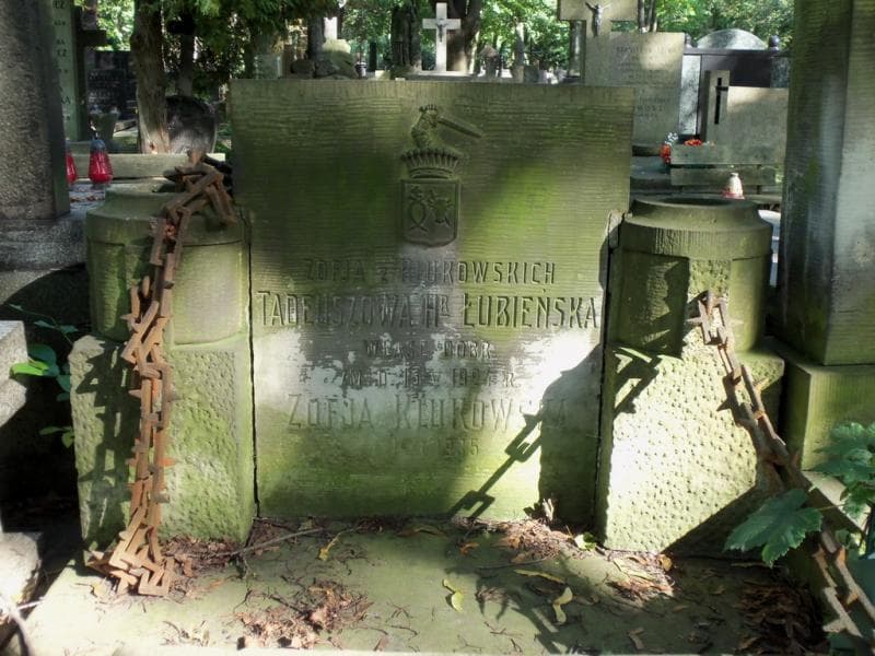 Zdjęcie grobu Zofja Klukowska (1)