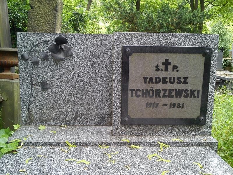 Zdjęcie grobu Tadeusz Tchórzewski (2)