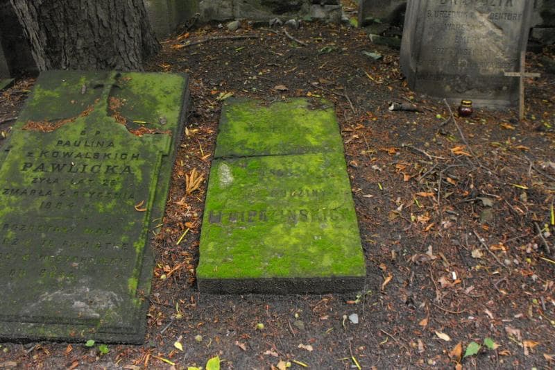 Zdjęcie grobu Wiktorya Libiedzińska (1)