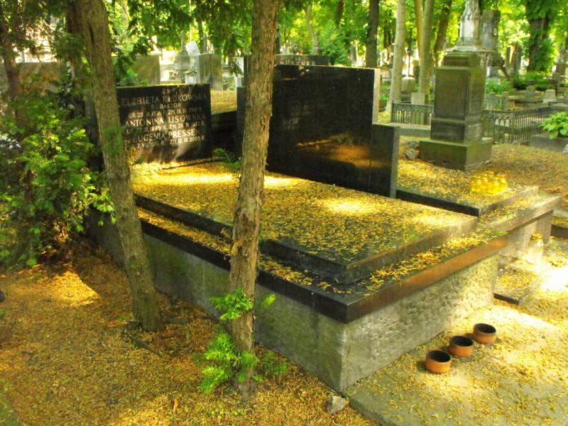 Zdjęcie grobu Elżbieta Klukowska (1)
