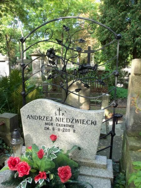 Zdjęcie grobu Andrzej Niedźwieci (1)